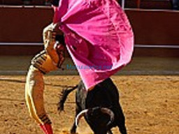 Fotos Noticias 2010